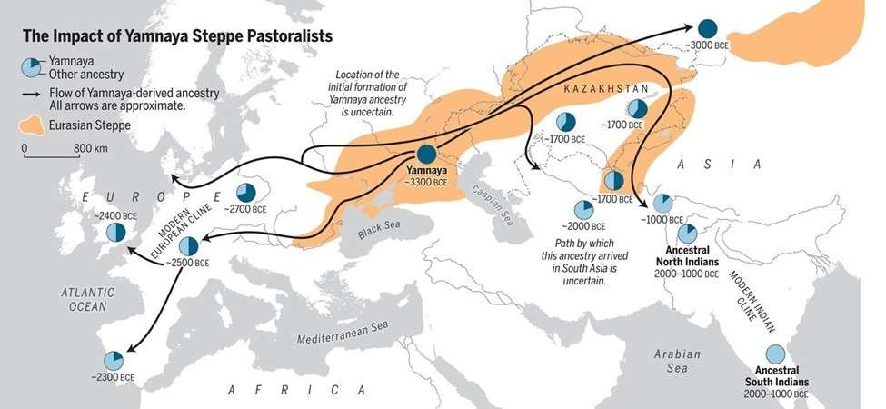  Time-traveling to understand the history of caste and genomic evidence of our origins